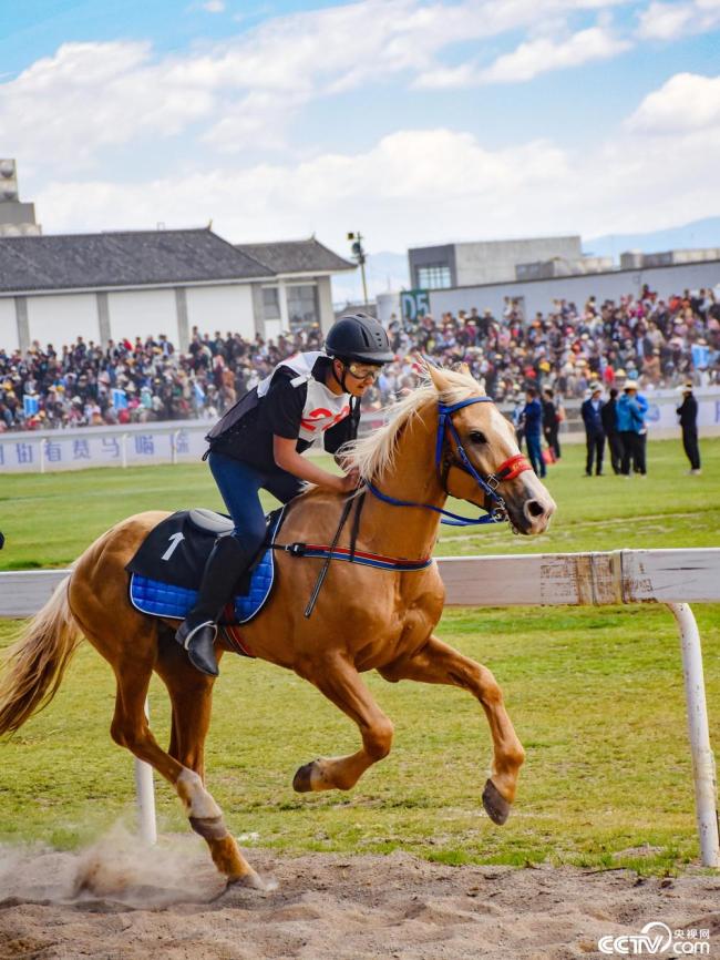 雲南大理：三(sān)月街民族節賽馬(ma)大會開幕