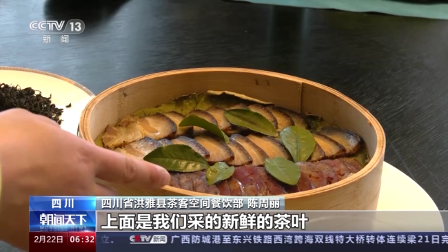 今年春茶全(quán)面開采 開采期較(jiao)去年提前