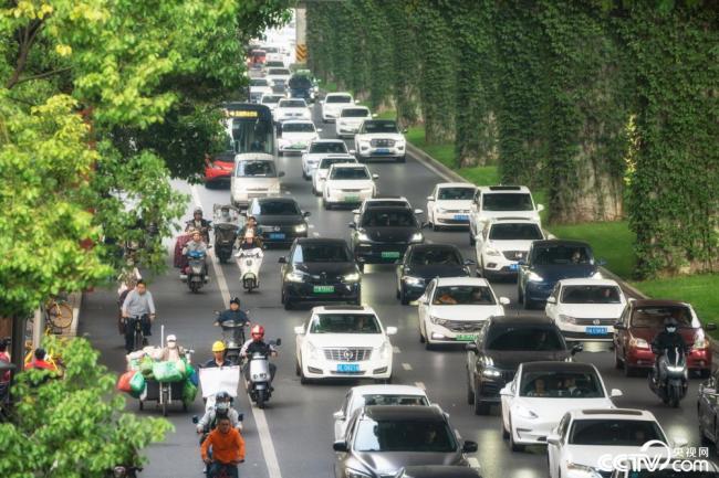 2025年12月(yue)8日，成都，高(gao)架橋下爬(pá)滿碧綠的(de)爬山虎。視(shì)覺中國