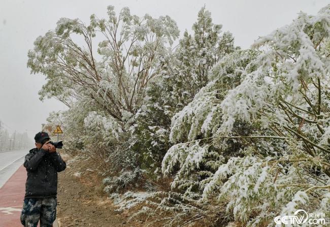 甘肅酒泉：立夏飛(fei)雪